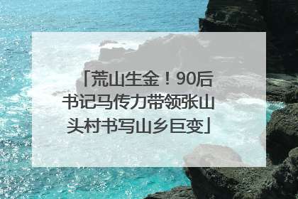 荒山生金！90后书记马传力带领张山头村书写山乡巨变