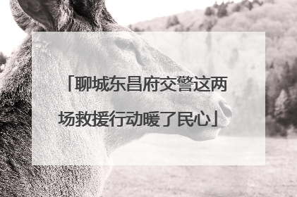 聊城东昌府交警这两场救援行动暖了民心