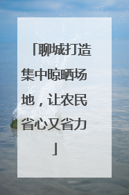 聊城打造集中晾晒场地，让农民省心又省力
