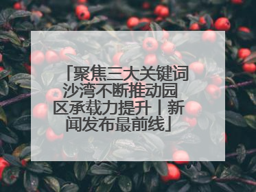 聚焦三大关键词 沙湾不断推动园区承载力提升丨新闻发布最前线