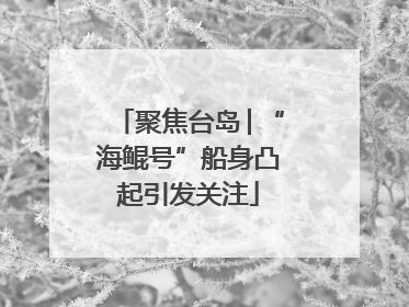 聚焦台岛│“海鲲号”船身凸起引发关注
