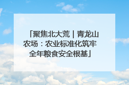 聚焦北大荒｜青龙山农场：农业标准化筑牢全年粮食安全根基