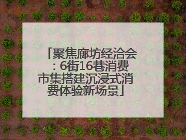 聚焦廊坊经洽会：6街16巷消费市集搭建沉浸式消费体验新场景