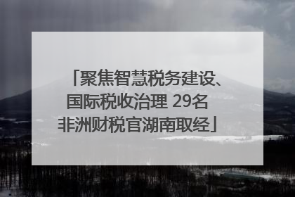 聚焦智慧税务建设、国际税收治理 29名非洲财税官湖南取经