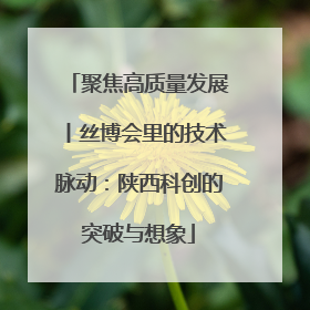 聚焦高质量发展丨丝博会里的技术脉动：陕西科创的突破与想象