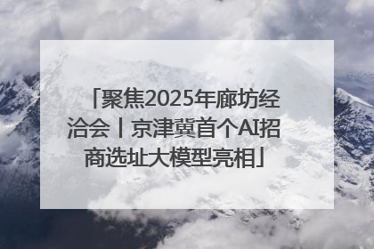 聚焦2025年廊坊经洽会丨京津冀首个AI招商选址大模型亮相