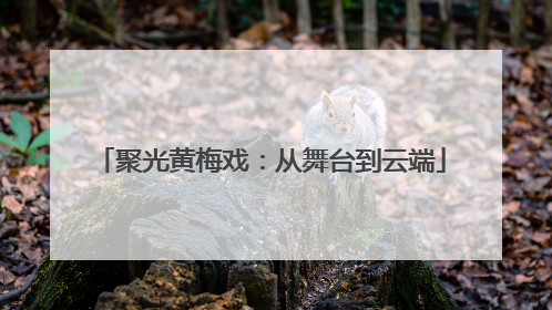 聚光黄梅戏：从舞台到云端