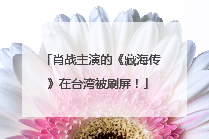 肖战主演的《藏海传》在台湾被刷屏！