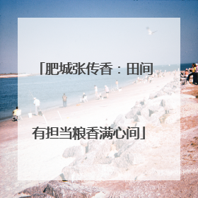 肥城张传香：田间有担当粮香满心间