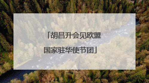 胡昌升会见欧盟国家驻华使节团