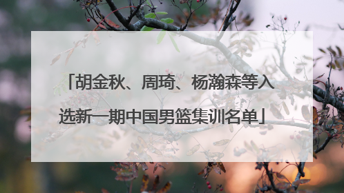 胡金秋、周琦、杨瀚森等入选新一期中国男篮集训名单