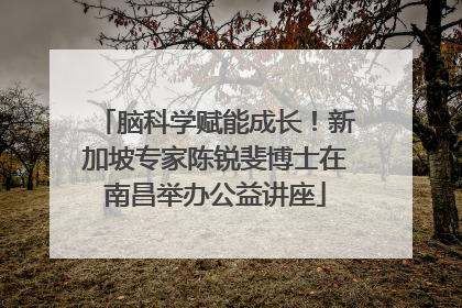 脑科学赋能成长！新加坡专家陈锐斐博士在南昌举办公益讲座