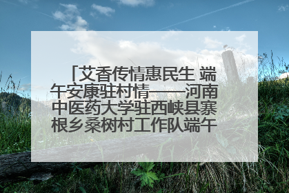艾香传情惠民生 端午安康驻村情——河南中医药大学驻西峡县寨根乡桑树村工作队端午中医惠民记