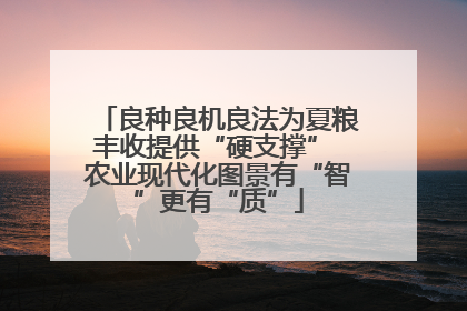 良种良机良法为夏粮丰收提供“硬支撑” 农业现代化图景有“智”更有“质”