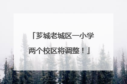 芗城老城区一小学两个校区将调整！