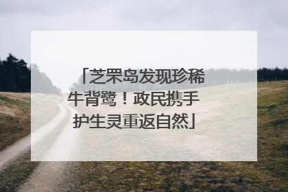 芝罘岛发现珍稀牛背鹭！政民携手护生灵重返自然