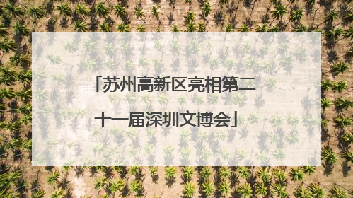 苏州高新区亮相第二十一届深圳文博会