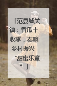范县城关镇：香瓜丰收季，奏响乡村振兴 “甜蜜乐章”