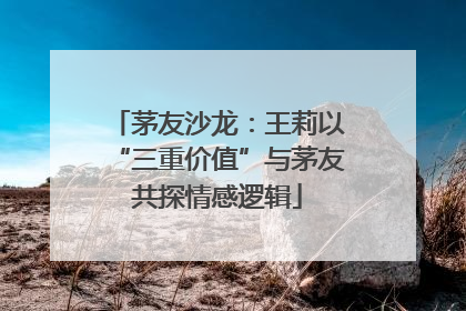 茅友沙龙：王莉以“三重价值”与茅友共探情感逻辑