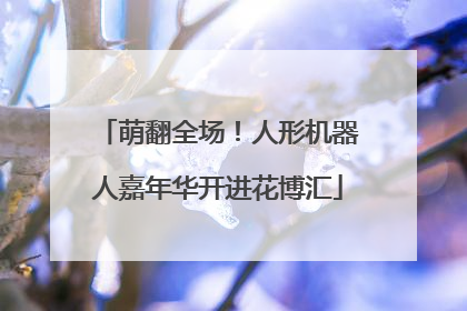 萌翻全场！人形机器人嘉年华开进花博汇