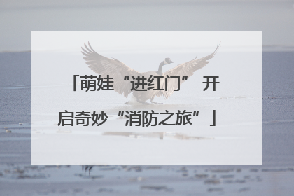 萌娃“进红门” 开启奇妙“消防之旅”