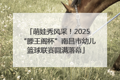 萌娃秀风采！2025“滕王阁杯”南昌市幼儿篮球联赛圆满落幕