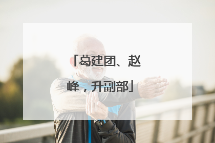 葛建团、赵峰，升副部