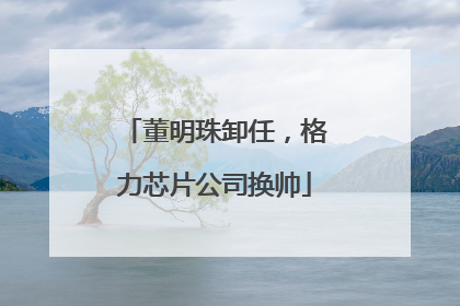 董明珠卸任，格力芯片公司换帅