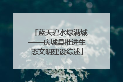 蓝天碧水绿满城——庆城县推进生态文明建设综述
