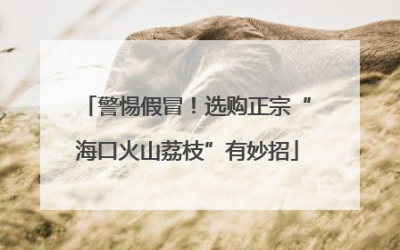 警惕假冒！选购正宗“海口火山荔枝”有妙招