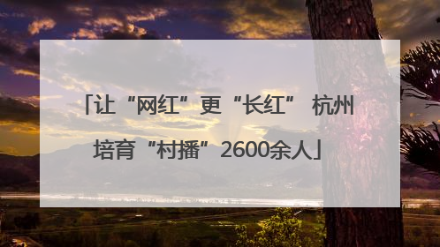 让“网红”更“长红” 杭州培育“村播”2600余人