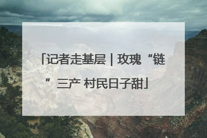 记者走基层｜玫瑰“链”三产 村民日子甜