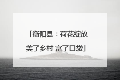 衡阳县：荷花绽放 美了乡村 富了口袋