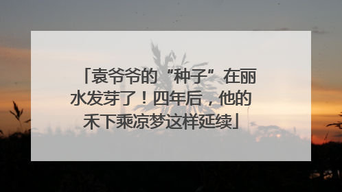 袁爷爷的“种子”在丽水发芽了！四年后，他的禾下乘凉梦这样延续
