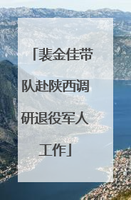 裴金佳带队赴陕西调研退役军人工作