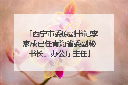 西宁市委原副书记李家成已任青海省委副秘书长、办公厅主任