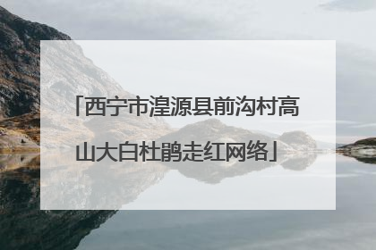 西宁市湟源县前沟村高山大白杜鹃走红网络
