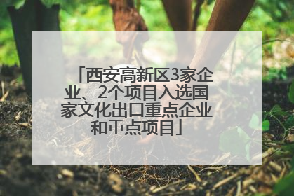 西安高新区3家企业、2个项目入选国家文化出口重点企业和重点项目