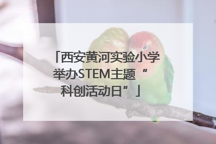 西安黄河实验小学举办STEM主题“科创活动日”