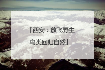 西安：放飞野生鸟类回归自然