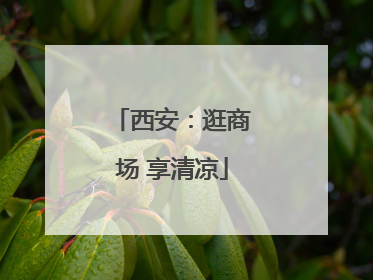 西安：逛商场 享清凉