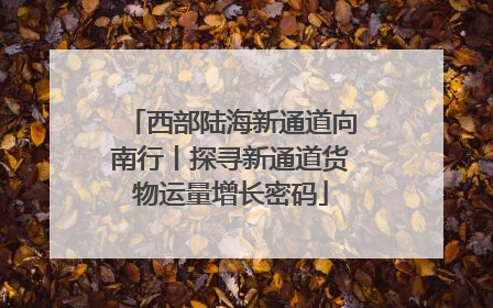 西部陆海新通道向南行丨探寻新通道货物运量增长密码