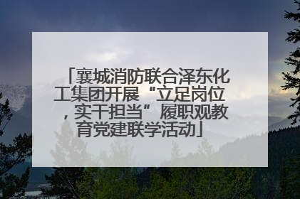 襄城消防联合泽东化工集团开展“立足岗位，实干担当”履职观教育党建联学活动
