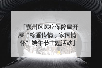 襄州区医疗保障局开展“粽香传情，家国情怀”端午节主题活动