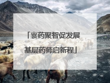襄药聚智促发展 基层药师启新程