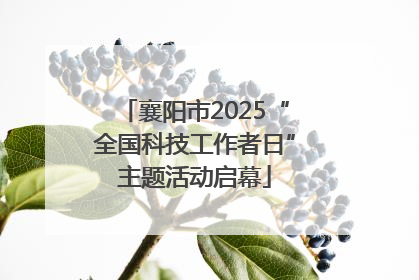 襄阳市2025“全国科技工作者日”主题活动启幕