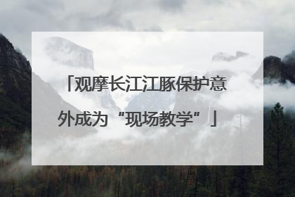 观摩长江江豚保护意外成为“现场教学”