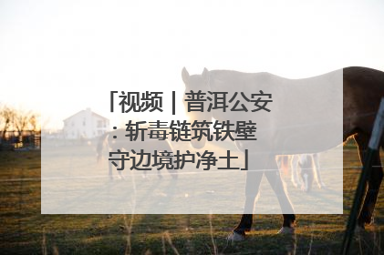 视频｜普洱公安：斩毒链筑铁壁 守边境护净土