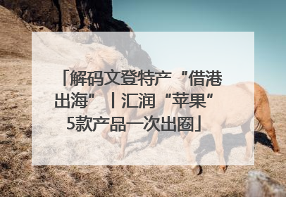 解码文登特产“借港出海”丨汇润“苹果”5款产品一次出圈