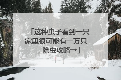 这种虫子看到一只家里很可能有一万只，除虫攻略→
